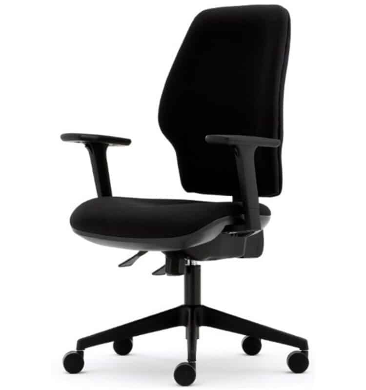 torasen orthopaedica mid back chair