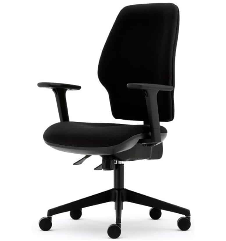 torasen orthopaedica mid back chair
