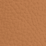 Biscuit GP077