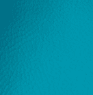 Teal GP169