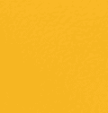 Racing Yellow GP078