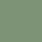 Jade Light - DJP