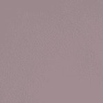 Lilac 16003