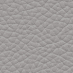 Silver Grey 5011