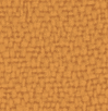 Maize Yellow 5811