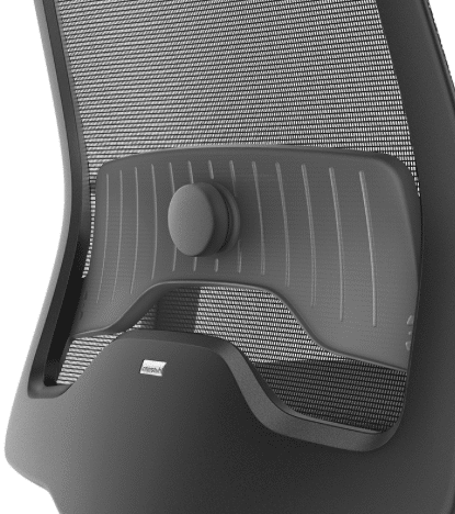 Back view of the Every Chair
