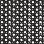 Black KW40
