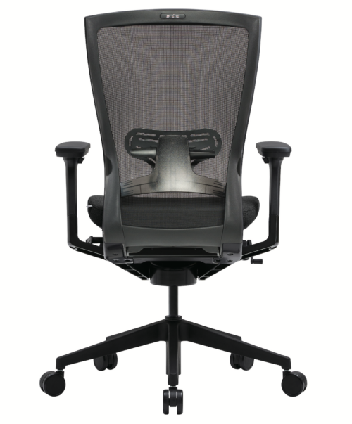 Techo T50 Black lumbar picture