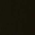 Black Leather 2109