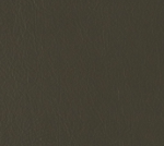 Graphite Leather 2111