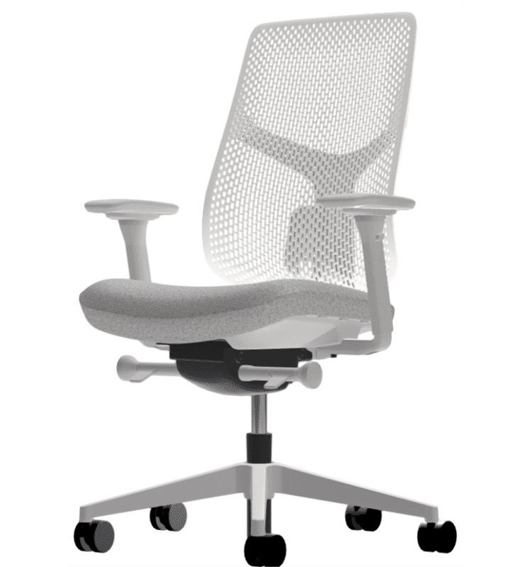 Herman-miller-verus-triflex-back-aristotle