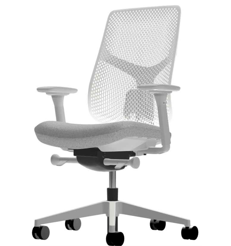 Herman-miller-verus-triflex-back-aristotle