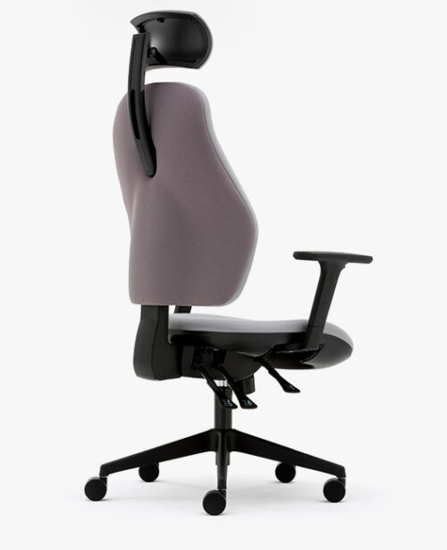 Torasen 100 series rear view