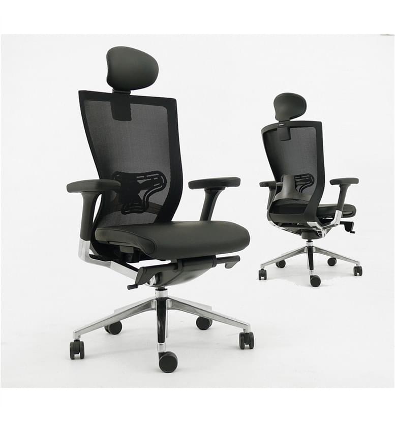 Techo Sidiz with Heaarest and Lumbar
