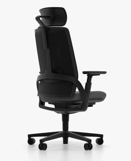 Senator iwork rear view