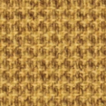gabriel-softnext-2328