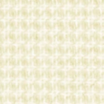 gabriel-softnext-2701