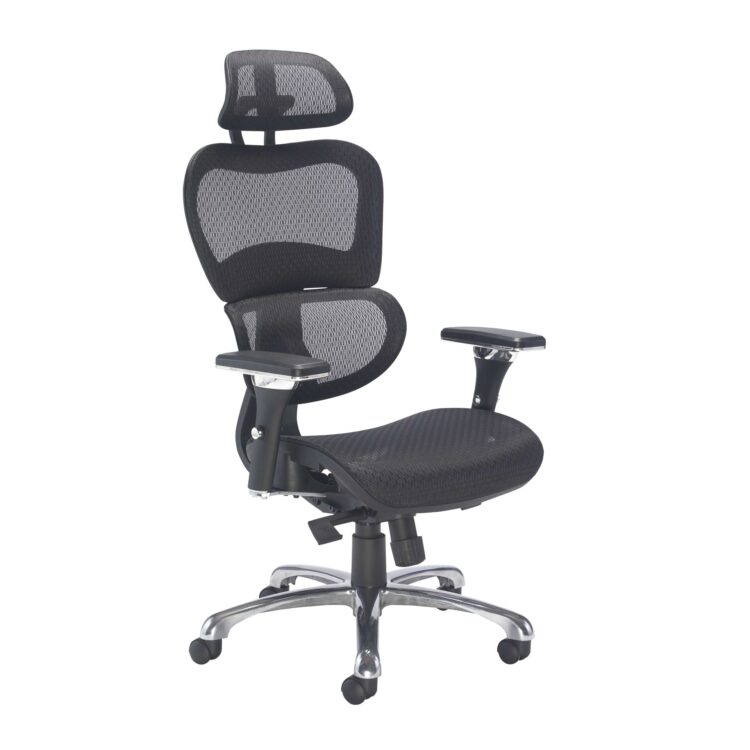 Chachi Ergonomic Office Chair
