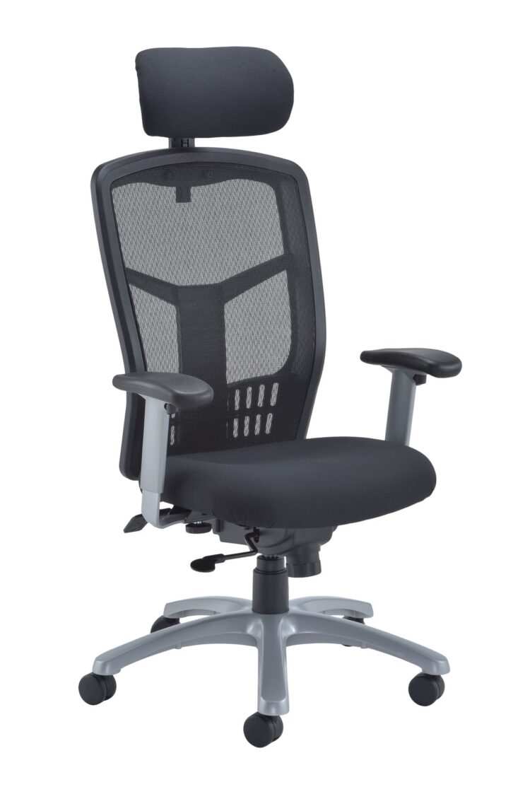 Fonz Mesh Back Office Chair with Headrest