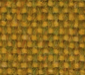 Main Line Flax Goldhawk